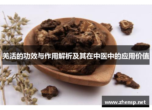 羌活的功效与作用解析及其在中医中的应用价值